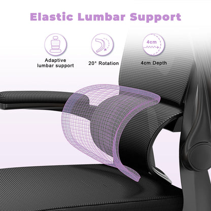 Ergonomic Office Chair