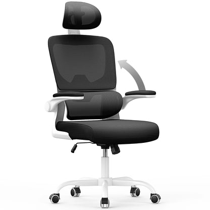 Ergonomic Office Chair