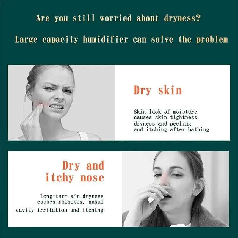 2L Dual Spray Air Humidifier - USB Wireless